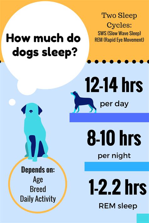  And when you sleep as much as dogs do adult dogs usually snooze 11 hours a day, and growing puppies sleep up to 18 hours , maybe that curl-up position on the doggie sofa is a tad restrictive after a while
