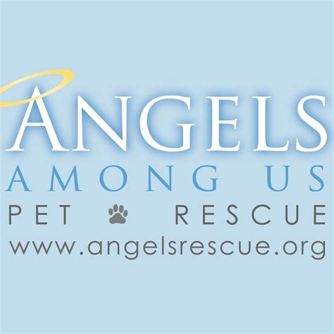  Angels Among Us Pet Rescue is a c 3 nonprofit organization dedicated to saving dogs and cats from shelters and high-risk situations in Georgia