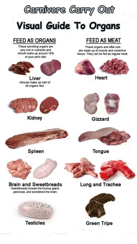  Animal meat, organs, vegetables, and bones are all ingredients of a comprehensive meal