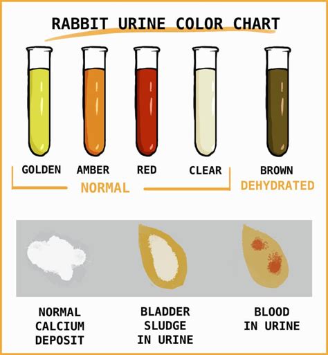  Animal urine is completely detectable