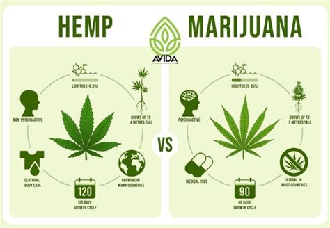  Another consideration is whether the hemp used for extracting CBD and other cannabinoids is organic