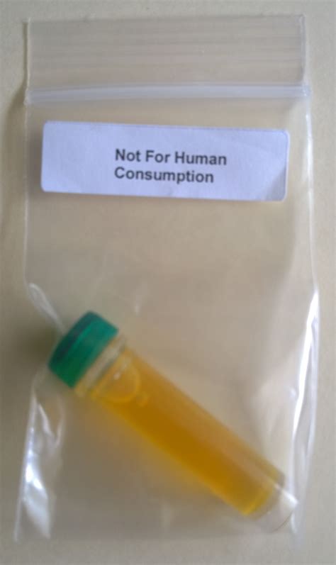  Another representative told our investigator that his company sells synthetic urine and that it is "better suited for random situations because the urine is premixed in the bag, sealed off, and irradiated so that it won