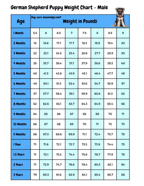  Another way this chart is helpful is if, using the same example, your puppy weighs 14 lbs at 8 weeks old and then jumps to 49 lbs at 6 months old, instead of the predicted 46 lbs