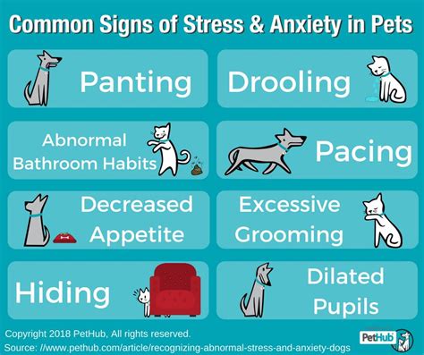  Anxiety Reduction: Allergies can be stressful for dogs, leading to anxiety and discomfort