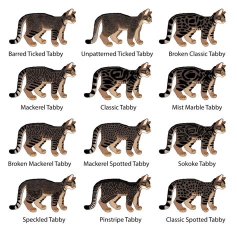  Any colors not noted in the standard, to include, but not limited to, black, black with fawn markings black and tan , all dilutions of black, mouse, liver, all with or without white