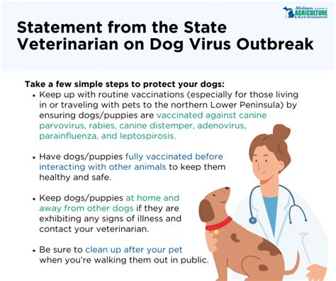  Any dog is prone to viruses, such as parvovirus, adenovirus, rabies, parainfluenza, or even coronavirus