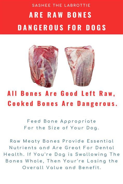  Any kinds of animal bones are harmful for Bulldogs, but the most dangerous are poultry bones even if they are cooked