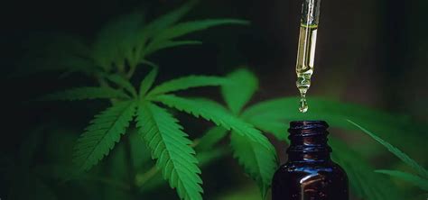  Any therapeutic claims about a CBD product are merely claims and should not be used legally in marketing