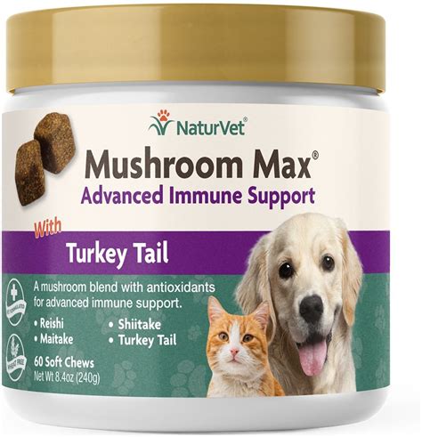  Are there other natural supplements for dogs with cancer? Turkey Tail Mushroom supplements are another natural option for augmenting cancer treatments