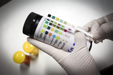  As a result, the tester will be unable to properly detect the presence of drugs in the urine