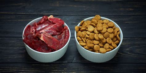  As a whole, while many people prefer to feed kibble you can use wet, dry, or even raw food