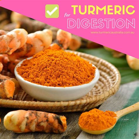  As an added benefit, turmeric has been shown to improve blood flow in dogs with hip dysplasia