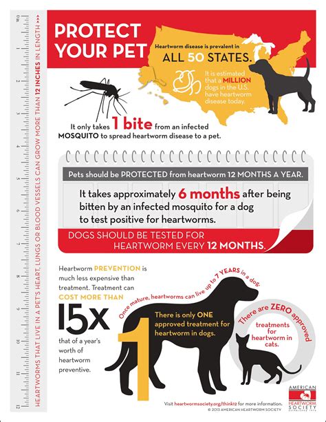  As responsible pawrents, it is imperative to grasp the intricacies of heartworm disease to shield our beloved pets from its detrimental effects