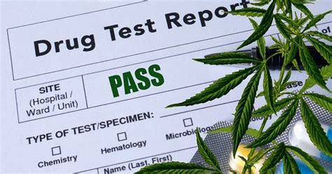  As the narrative and laws around the use of cannabis evolve, it seems likely that cannabis-specific drug testing will become more and more out of date