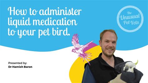  As well as tips on how to properly administer dosages to your pet