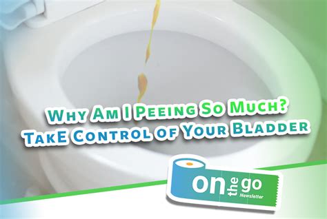  As you start to urinate, allow a small amount to fall into the toilet bowl