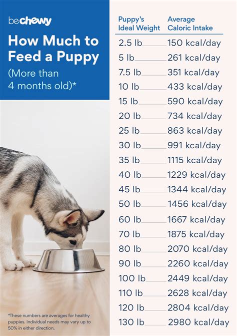  As your puppy gets older, he can be fed less times per day 3x at 12 weeks old, and then cut it down to twice a day