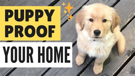  Aside from making your home puppy proof, make sure that you have the time to provide the attention they need