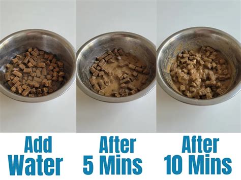  At around 4 weeks introduce a few dry kibbles mixed with warm water to your puppy