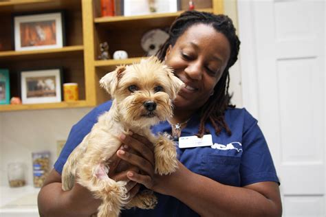  Atlanta Humane Society is a foster care that provides information about adopting puppies