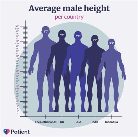  Average Male Height — 
