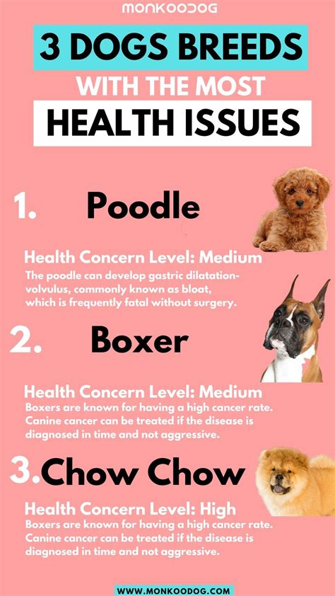  Avoid buying from a breeder that prioritizes appearance over health or that has a history of breeding dogs with health issues