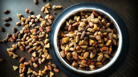  Avoid by-products and focus, instead, on kibbles that contain mostly whole-food ingredients