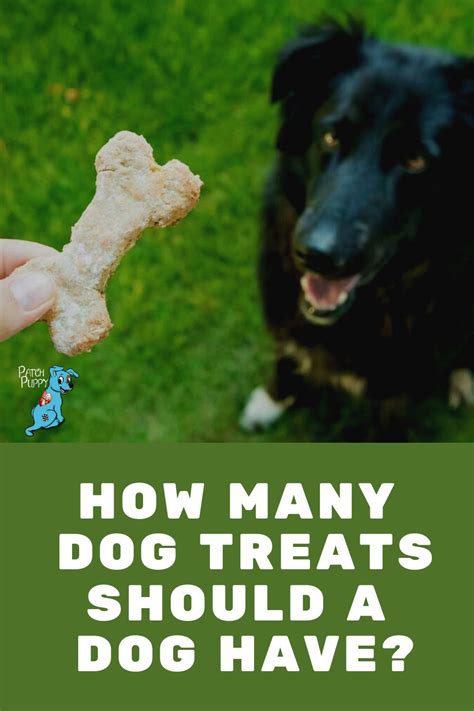  Avoid giving them too many treats during the week, and try a variety of different foods to find the perfect match for your dog