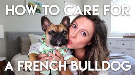  Avoid taking your Frenchie for long walks on hot days , and be sure to bundle them up on cold ones