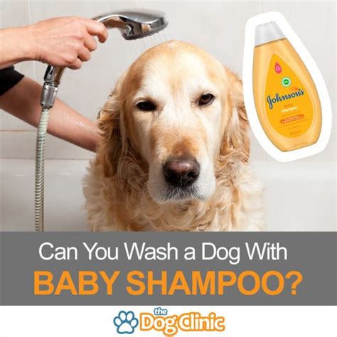  Avoid using human shampoo or baby shampoo on your puppy