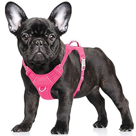  Back Clip French bulldog Harnesses Step In Harness Dual Clip Harnesses These offer the flexibility of both front and back ring leash attachment points, suitable for dogs at different stages of their training