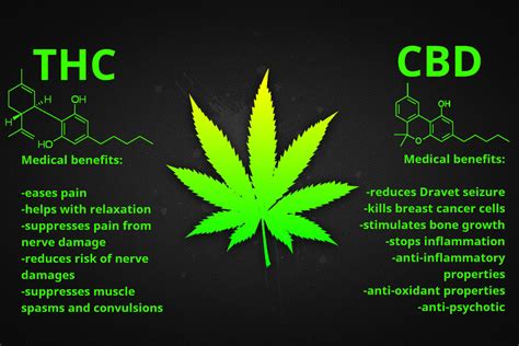  Be patient! Cancer: This is a popular use for CBD in both animals and people