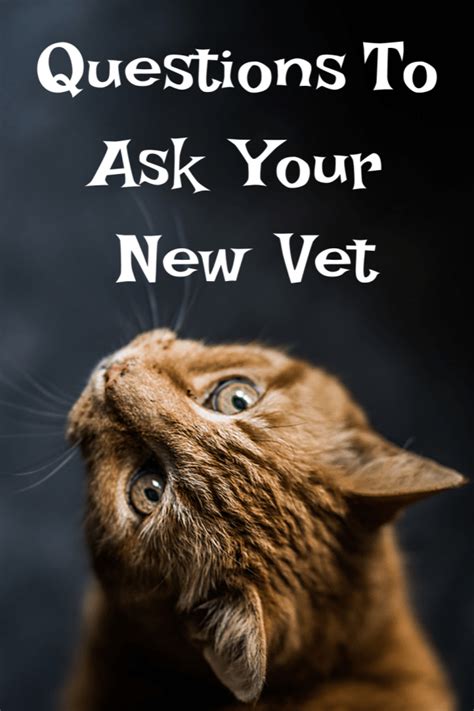  Be sure to follow these closely and ask your vet any questions you have