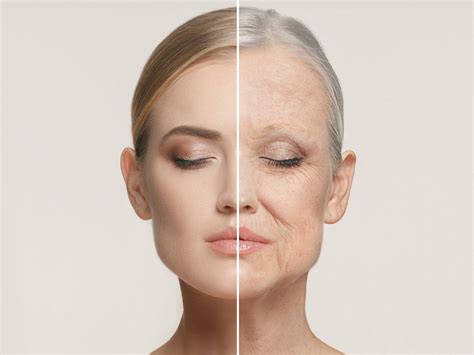  Because debris can get in their large eyes and trapped in their wrinkles, you need to regularly check these areas and clean as needed to help prevent irritation and other issues