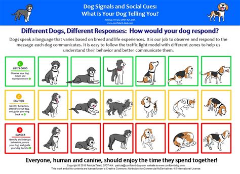  Because every dog reacts differently, you may find that your dog responds better to a higher or lower dosage