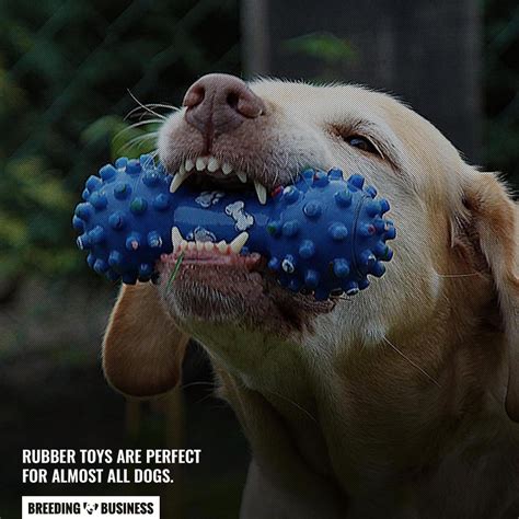  Because of its durability, it is especially suitable for aggressive chewers and the dogs can go chewing it for days, taking breaks only to get back to it without losing interest