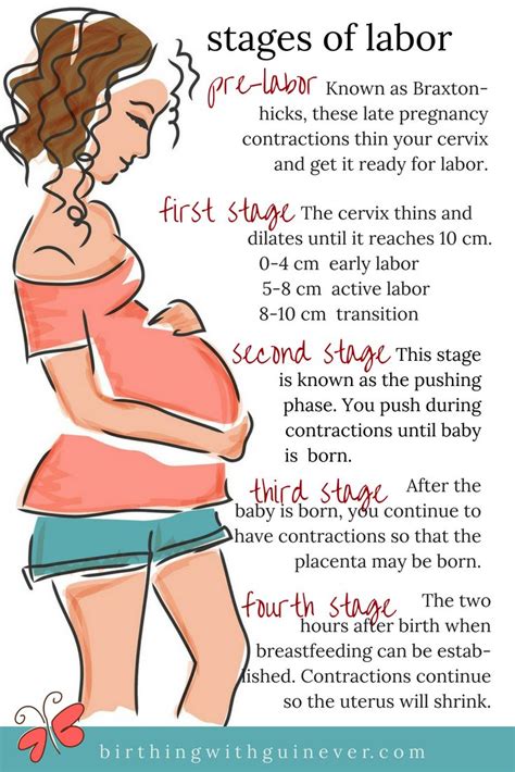  Because of this and the way their bodies are built, pregnancy and birthing can be too stressful on their bodies and could become fatal