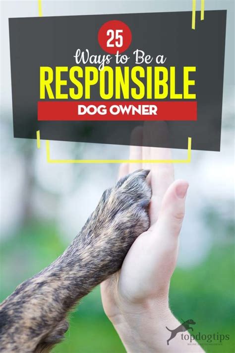  Being a responsible owner means giving your dog the tools to curb his anxiety
