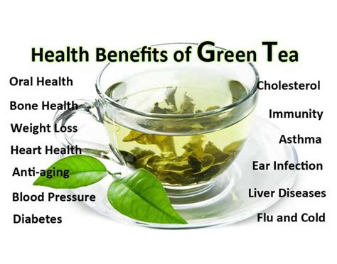  Beneficial effects of green tea—A review