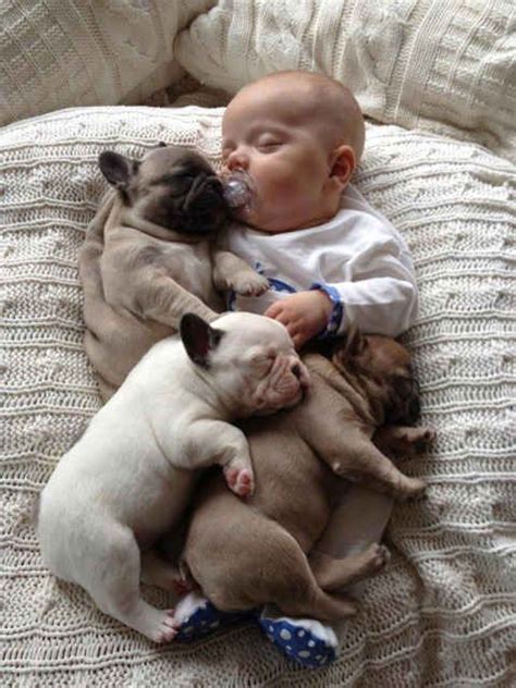  Benefits of sleeping with Frenchies There is also the fact that many dog owners feel better at night when they have their animals with them
