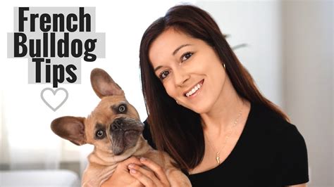  Benefits to their owners: Owning a French bulldog can be beneficial to your health and your general well-being