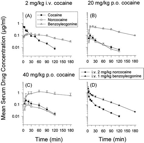  Benzoylecgonine is the main metabolite of cocaine and therefore the target compound in urine drug screens and confirmations