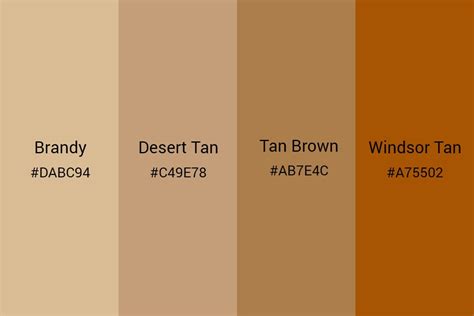  Bernies typically have three distinct shades — black, white, and tan