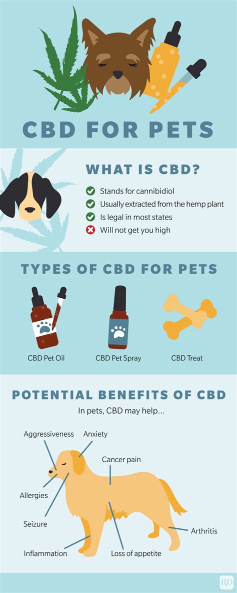  Besides the widespread empiric use of CBD in pets, the research is trying to obtain proof of its efficacy and lack of adverse effects and to know its pharmacokinetics to define an appropriate posology