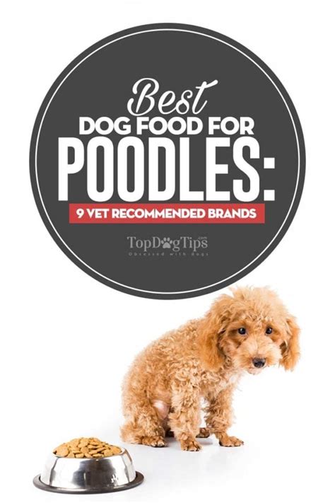  Best Food for Poodles: Recommended Brands Please note that if you have not yet read 