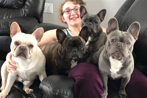  Best French Bulldog Puppies for sale in Smithfield!  For over 15 years we have been connecting caring families with responsible and