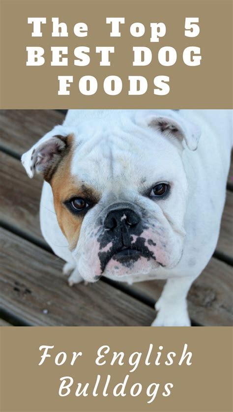  Best dried food for English Bulldog puppies These three brands make some of the best food for English Bulldog puppies
