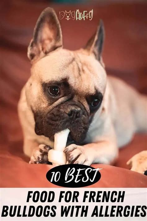 Best food for French Bulldogs with skin allergies If your French Bulldog has skin allergies, it is important to choose a diet that is specially formulated to help support skin health and minimize potential allergens