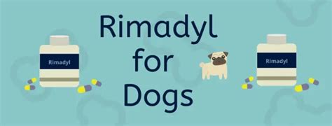  Between the two, Rimadyl is more associated with harmful effects