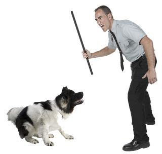  Biting becomes more frequent and severe when the dog is subjected to physical punishment